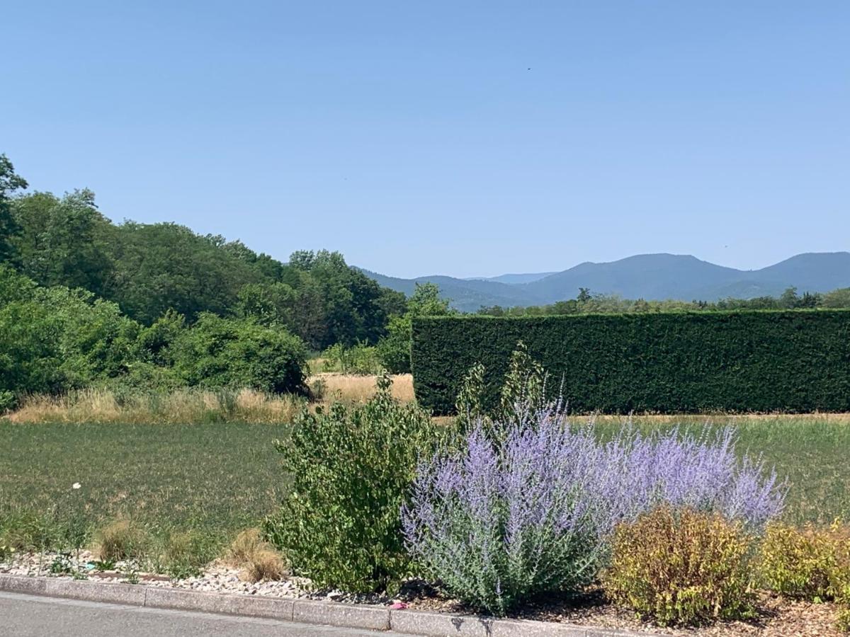Houssen/colmar: « chez Lin'doux », Le Nid Alsacien Houssen